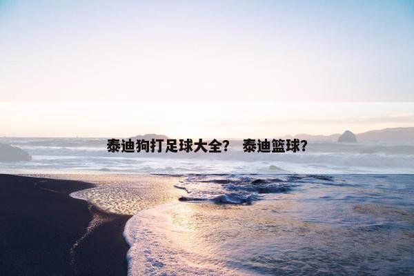 泰迪狗打足球大全？ 泰迪篮球？