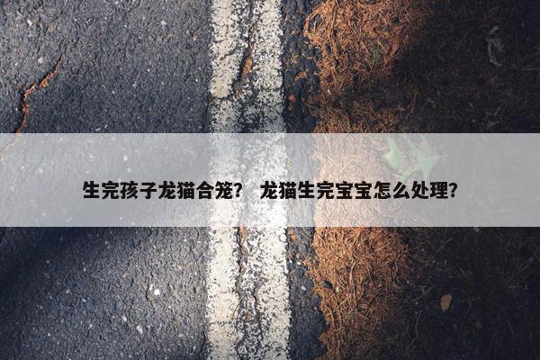 生完孩子龙猫合笼？ 龙猫生完宝宝怎么处理？