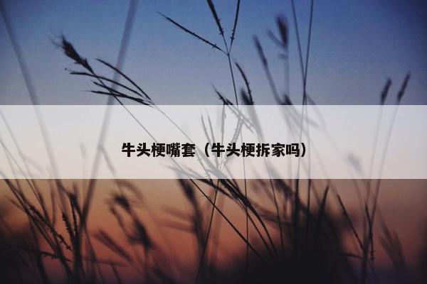 牛头梗嘴套（牛头梗拆家吗）