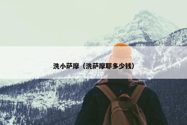 洗小萨摩（洗萨摩耶多少钱）