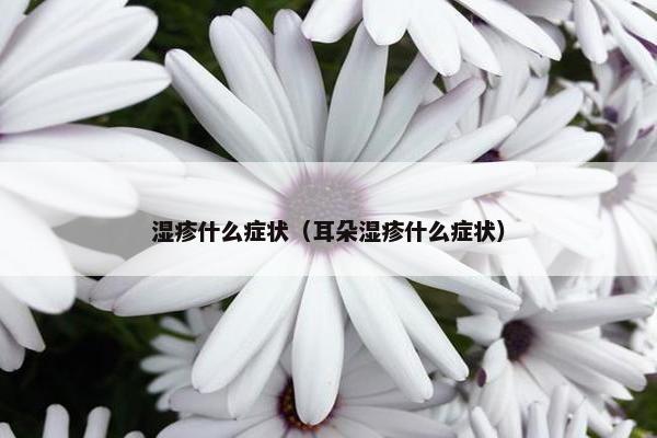 湿疹什么症状（耳朵湿疹什么症状）