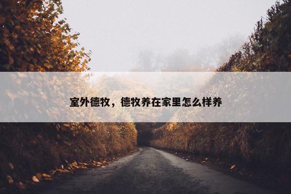 室外德牧，德牧养在家里怎么样养