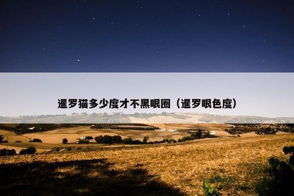 暹罗猫多少度才不黑眼圈（暹罗眼色度）