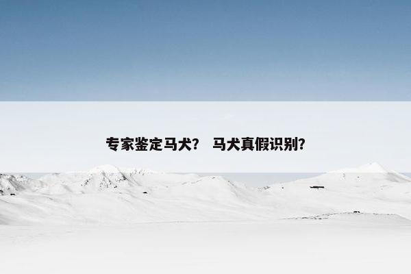 专家鉴定马犬？ 马犬真假识别？