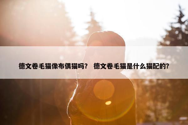 德文卷毛猫像布偶猫吗？ 德文卷毛猫是什么猫配的？
