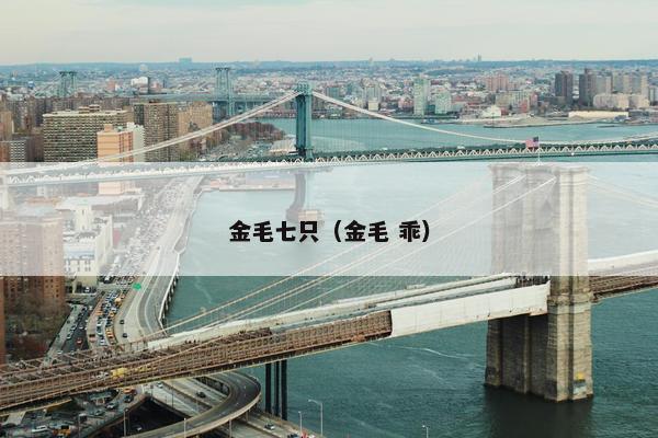 金毛七只（金毛 乖）