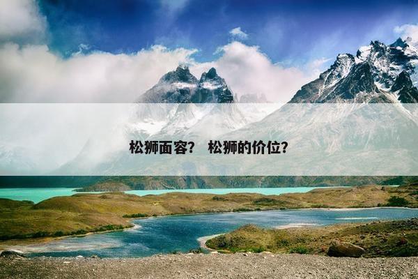 松狮面容？ 松狮的价位？