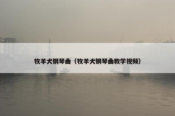 牧羊犬钢琴曲（牧羊犬钢琴曲教学视频）