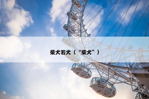柴犬若犬（“柴犬”）