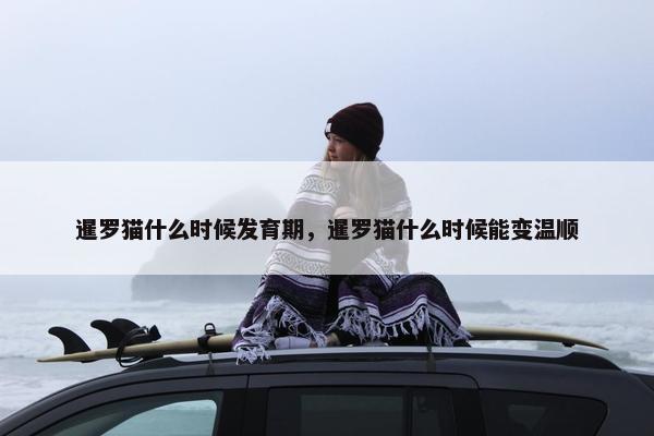 暹罗猫什么时候发育期，暹罗猫什么时候能变温顺