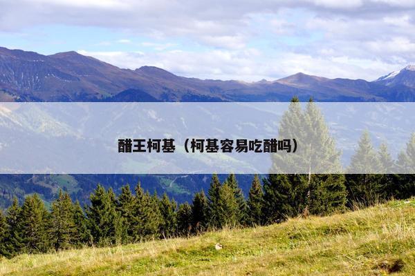 醋王柯基（柯基容易吃醋吗）