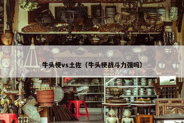 牛头梗vs土佐（牛头梗战斗力强吗）