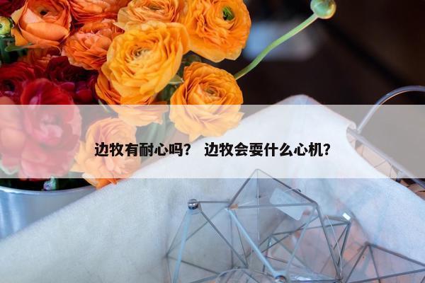 边牧有耐心吗？ 边牧会耍什么心机？