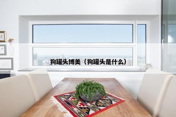 狗罐头博美（狗罐头是什么）