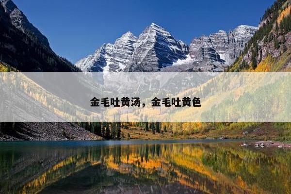 金毛吐黄汤，金毛吐黄色