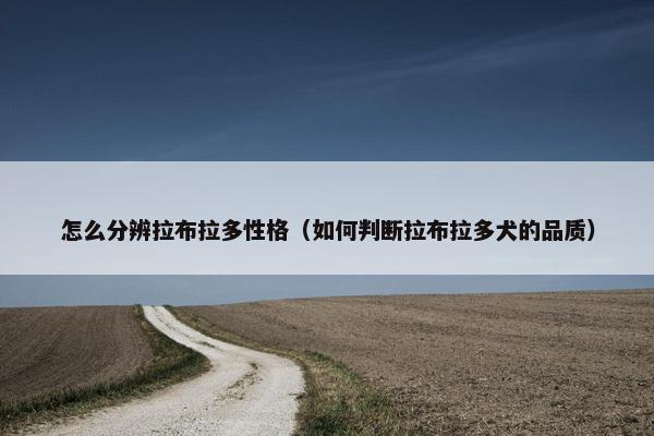 怎么分辨拉布拉多性格（如何判断拉布拉多犬的品质）