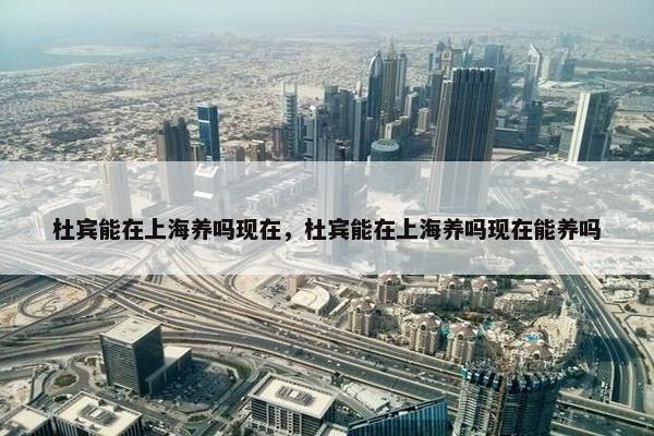杜宾能在上海养吗现在，杜宾能在上海养吗现在能养吗