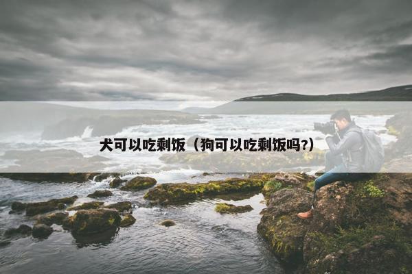 犬可以吃剩饭（狗可以吃剩饭吗?）
