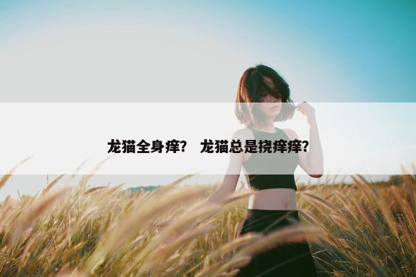 龙猫全身痒？ 龙猫总是挠痒痒？