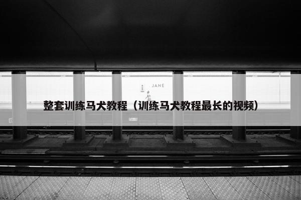 整套训练马犬教程（训练马犬教程最长的视频）