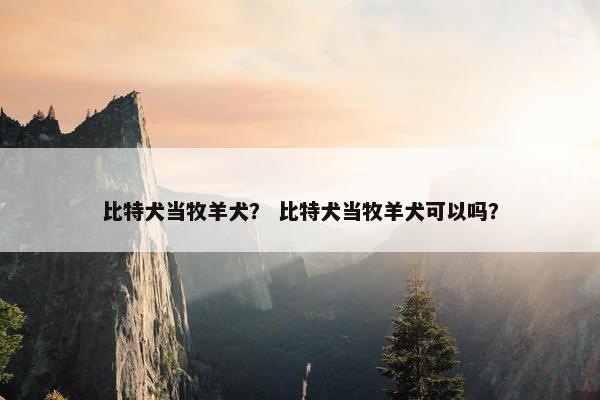 比特犬当牧羊犬？ 比特犬当牧羊犬可以吗？