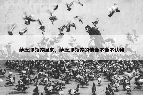 萨摩耶领养回来，萨摩耶领养的他会不会不认我