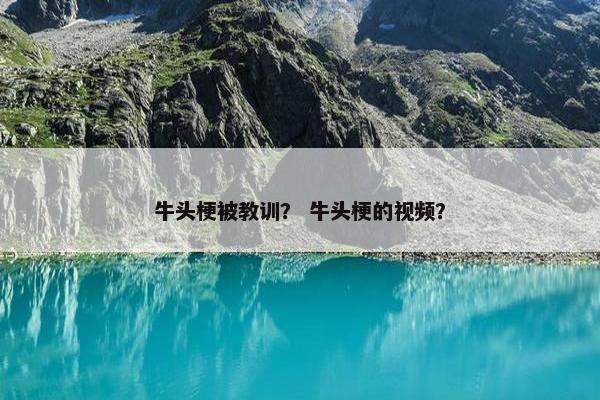 牛头梗被教训？ 牛头梗的视频？