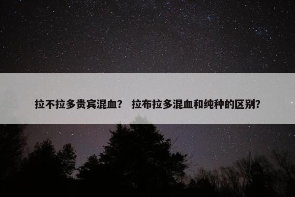 拉不拉多贵宾混血？ 拉布拉多混血和纯种的区别？