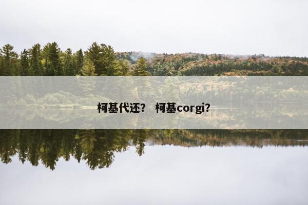 柯基代还？ 柯基corgi？