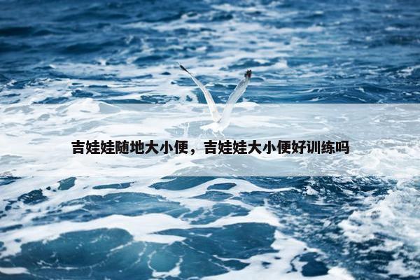 吉娃娃随地大小便，吉娃娃大小便好训练吗
