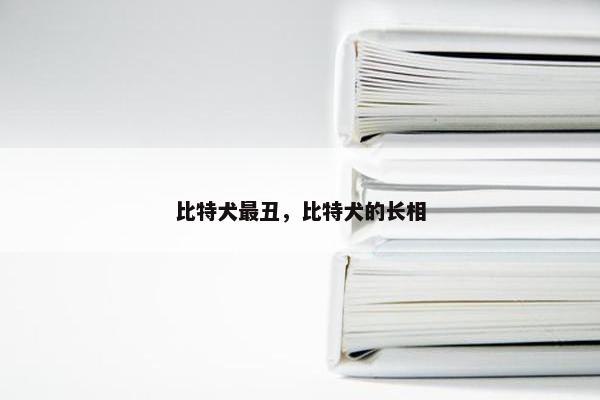 比特犬最丑，比特犬的长相