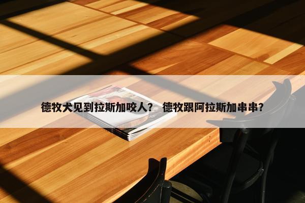 德牧犬见到拉斯加咬人？ 德牧跟阿拉斯加串串？