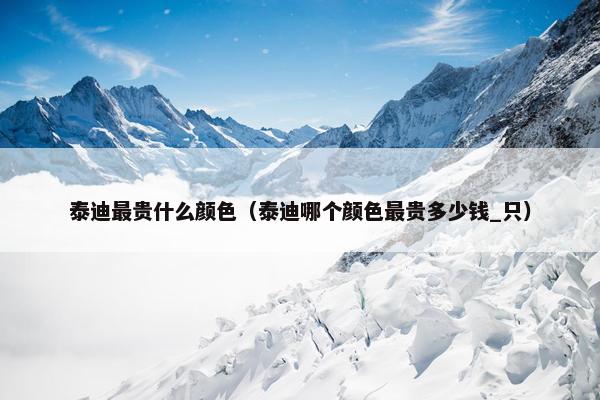 泰迪最贵什么颜色（泰迪哪个颜色最贵多少钱_只）