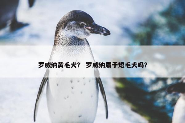 罗威纳黄毛犬？ 罗威纳属于短毛犬吗？