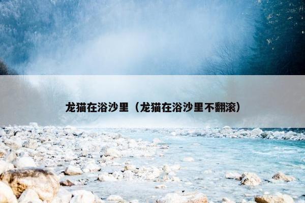 龙猫在浴沙里（龙猫在浴沙里不翻滚）