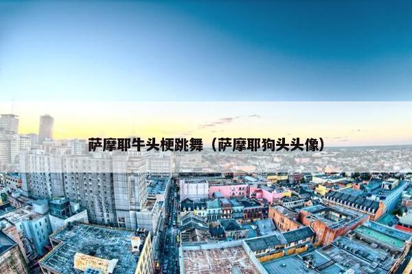 萨摩耶牛头梗跳舞（萨摩耶狗头头像）