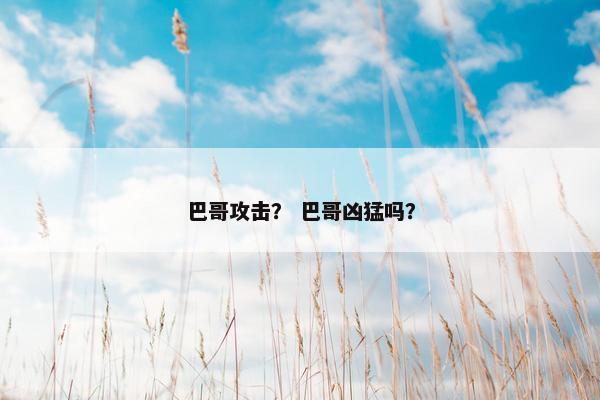 巴哥攻击？ 巴哥凶猛吗？