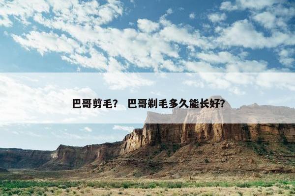 巴哥剪毛？ 巴哥剃毛多久能长好？