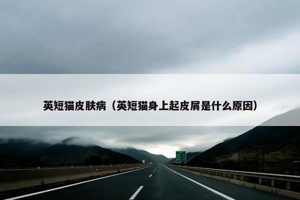 英短猫皮肤病（英短猫身上起皮屑是什么原因）
