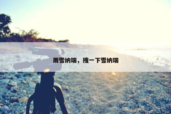 雨雪纳瑞，搜一下雪纳瑞