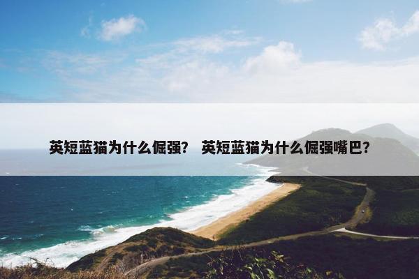 英短蓝猫为什么倔强？ 英短蓝猫为什么倔强嘴巴？