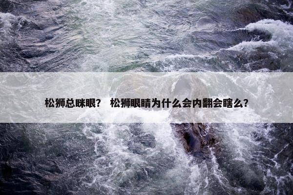 松狮总眯眼？ 松狮眼睛为什么会内翻会瞎么？