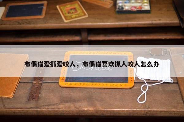 布偶猫爱抓爱咬人，布偶猫喜欢抓人咬人怎么办