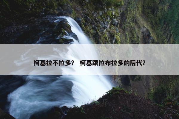 柯基拉不拉多？ 柯基跟拉布拉多的后代？