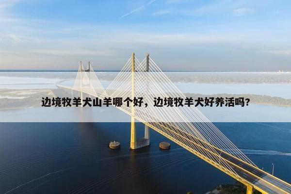 边境牧羊犬山羊哪个好，边境牧羊犬好养活吗?