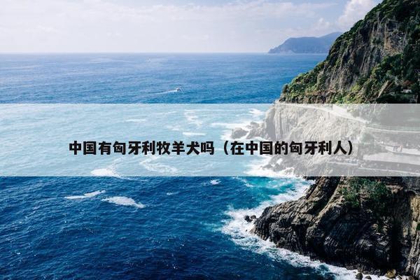 中国有匈牙利牧羊犬吗（在中国的匈牙利人）