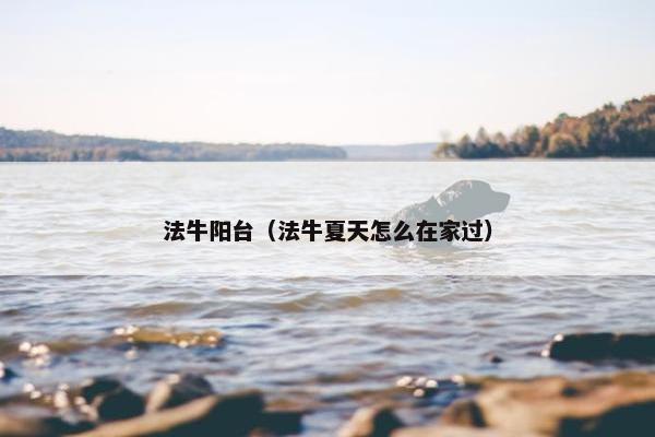 法牛阳台（法牛夏天怎么在家过）
