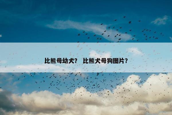 比熊母幼犬？ 比熊犬母狗图片？