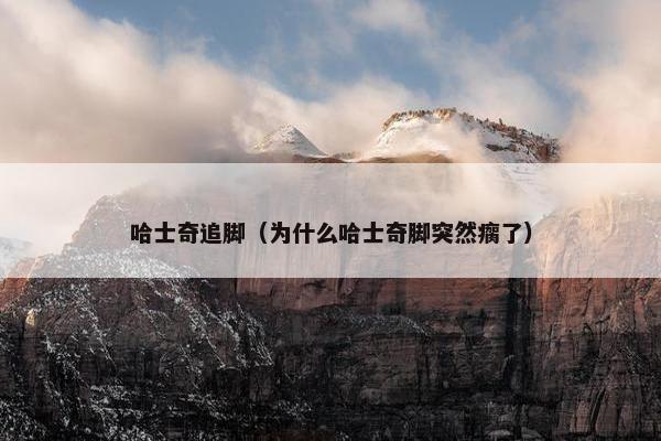 哈士奇追脚（为什么哈士奇脚突然瘸了）