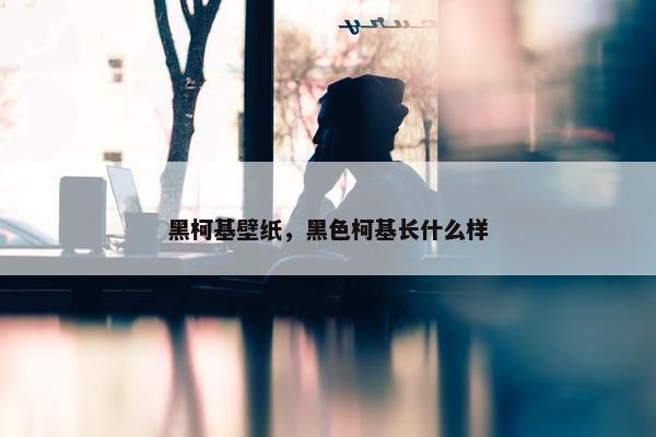黑柯基壁纸，黑色柯基长什么样
